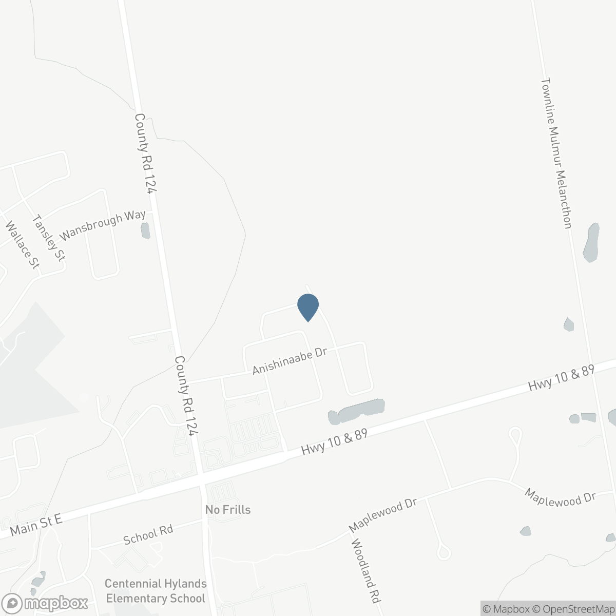 285 CHIPPEWA AVENUE, Shelburne, Ontario L9V 3Y2